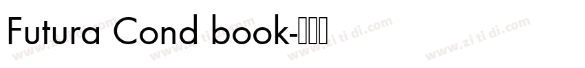 Futura Cond book字体转换